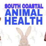 Nurturing South Coastal Animal Health