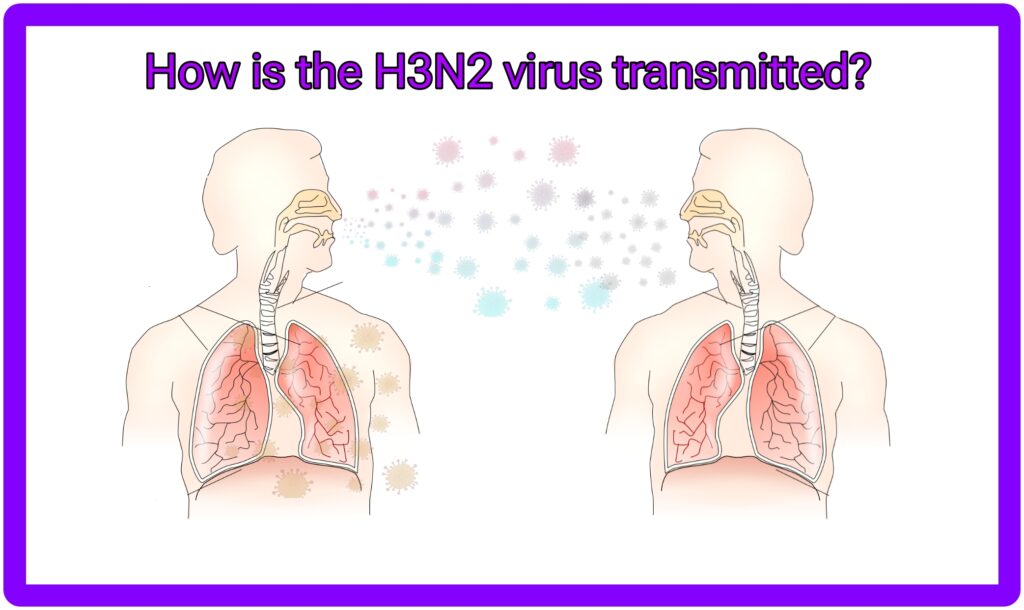 How is the H3N2 virus transmitted?