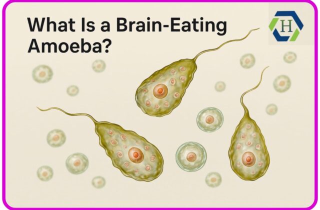 What Is a Brain-Eating Amoeba?